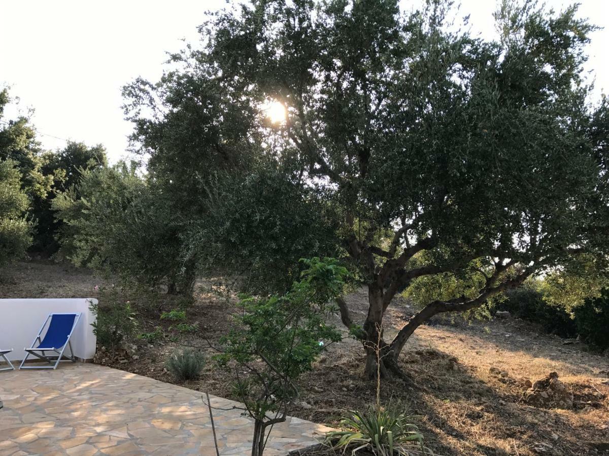 Ferienhaus Olive Garden Кипарисия Екстериор снимка